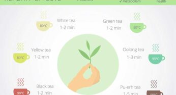 Discover the Power of Detox Tea: Benefits, Types, Use, and More!