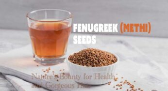 Fenugreek (Methi) Seeds: Nature’s Cure-All – Health Benefits, Precautions, and Hair Growth