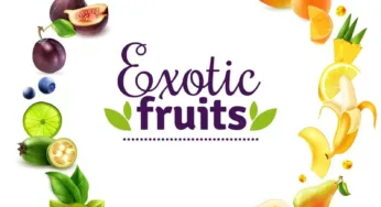 Health Benefits of Exotic Fruits: Nature’s Sweetest Treasures Revealed